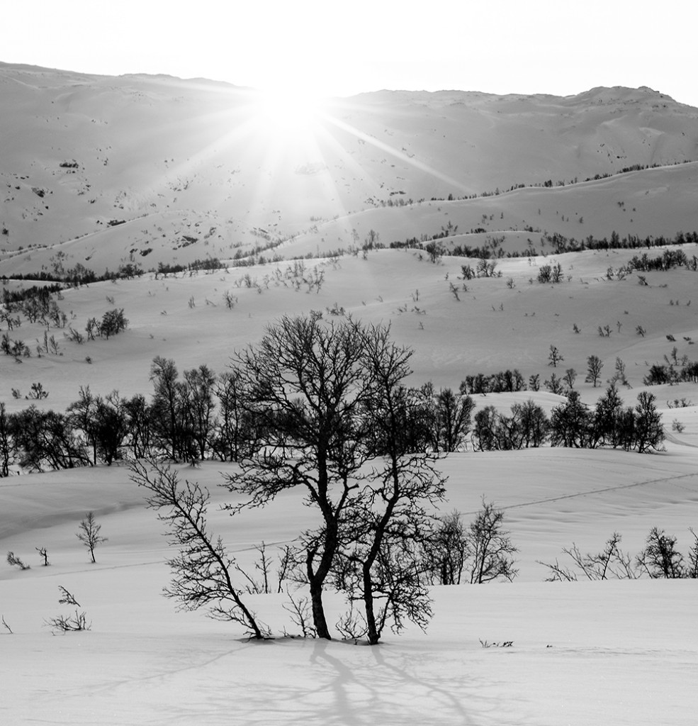 Minus 25, skuterspor og lav sol = 