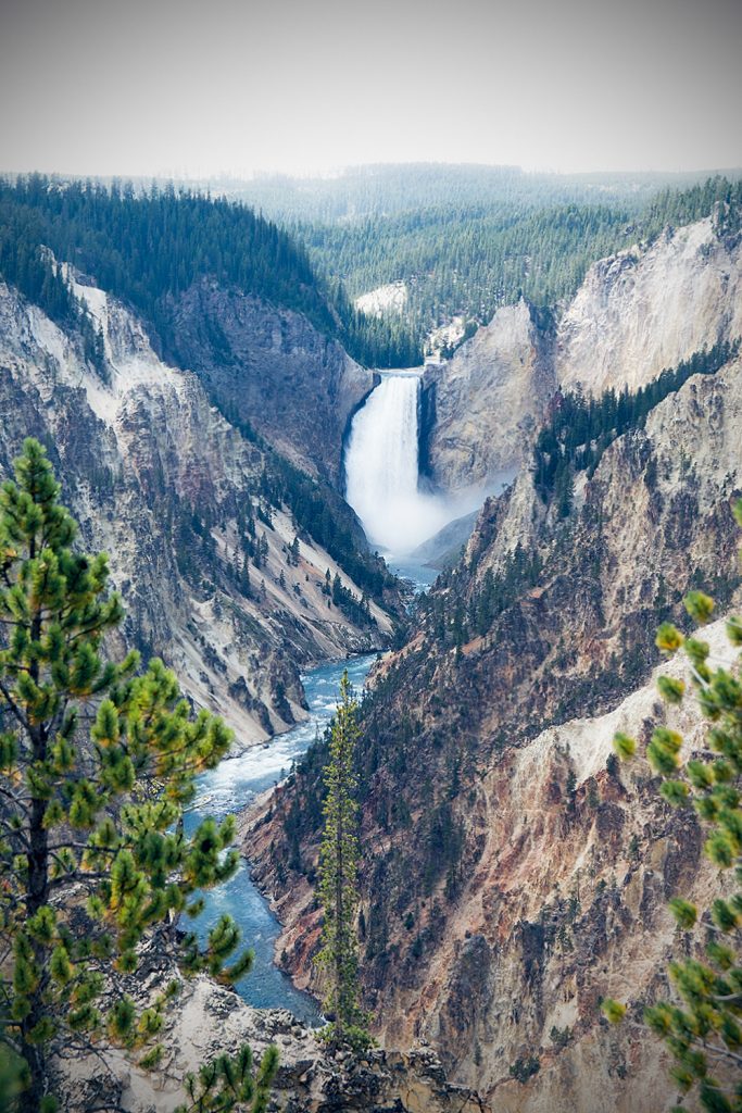 Yellowstone